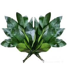 Pomelo Leaf碌柚葉  +/- 100g x 1