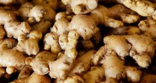 Fresh Ginger 生薑 Gung Tuoi