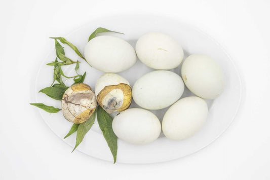 Balut Egg  鴨仔蛋 Trung Vit Lon 1 single egg x1