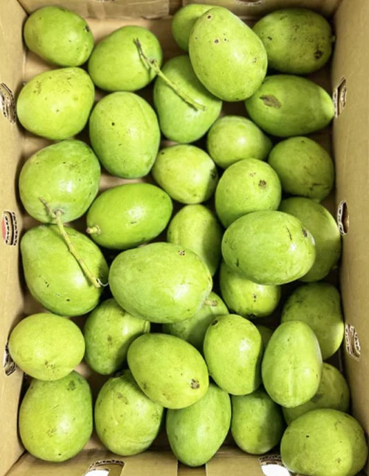 Fresh Raw Green Mango (Sour Mango) Xoai Xanh Thai Chua 100g