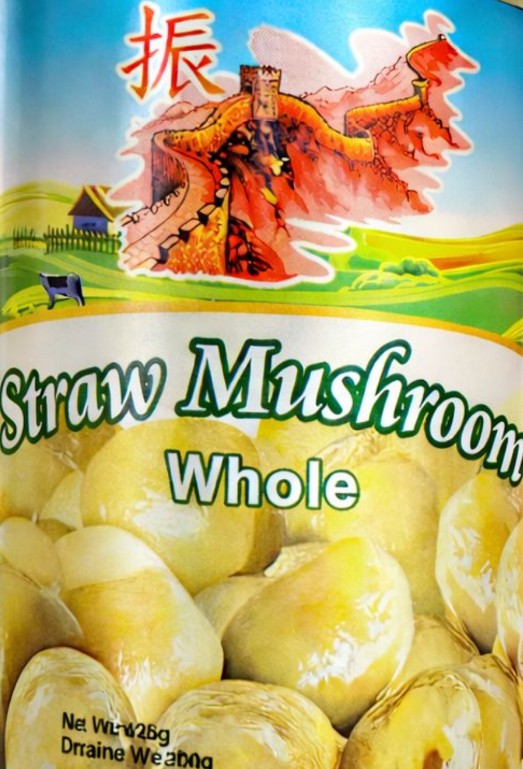Chun Canned Whole Straw Mushroom 振 原粒草菇425g x1