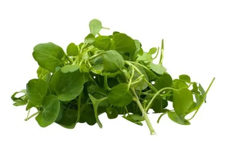 Fresh Watercress 西洋菜 200g x1