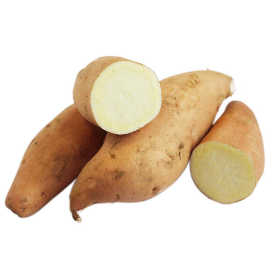 16806 白番薯（白皮）白皮番薯Khoai Lang Trang 1kg x 1