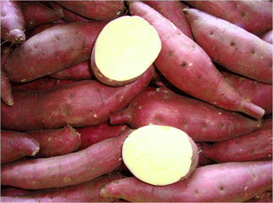 20510 Khoai Lang Trắng (Vỏ Tím) 白心蕃薯 Khoai Lang Trang 1kg x1
